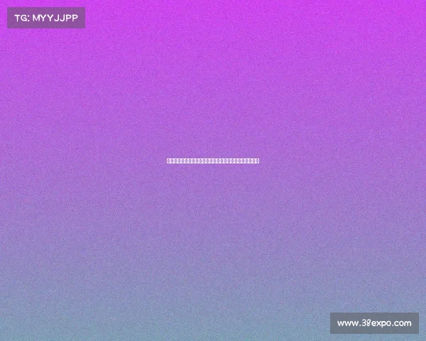 高级房车赛事巅峰之战专业车队极限速度与荣耀竞技新篇章